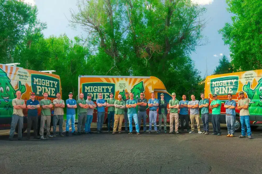 Mighty Pine Team in Arvada.