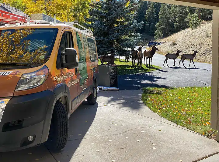 Mighty Pine truck with elk walking behind in Arvada, CO.