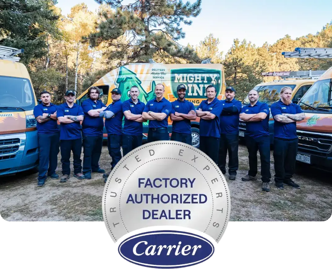 Mighty Pine team and carrier