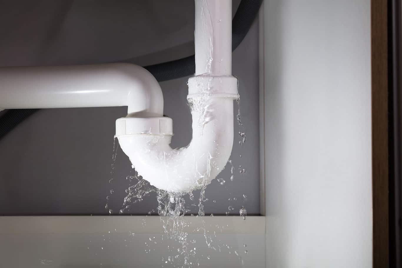 under the sink leak in Arvada